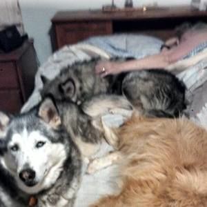 Meet your Posher, Vicki